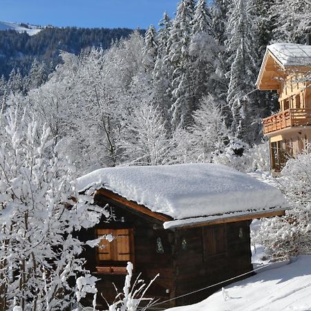 レ・ズッシュ Chalet Les Soldanellesヴィラ エクステリア 写真